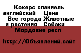 Кокерс спаниель английский  › Цена ­ 4 500 - Все города Животные и растения » Собаки   . Мордовия респ.